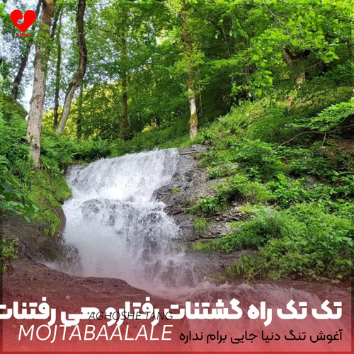 افغانی تک تک راه