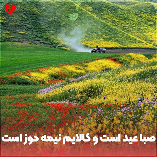 افغانی صبا عید است