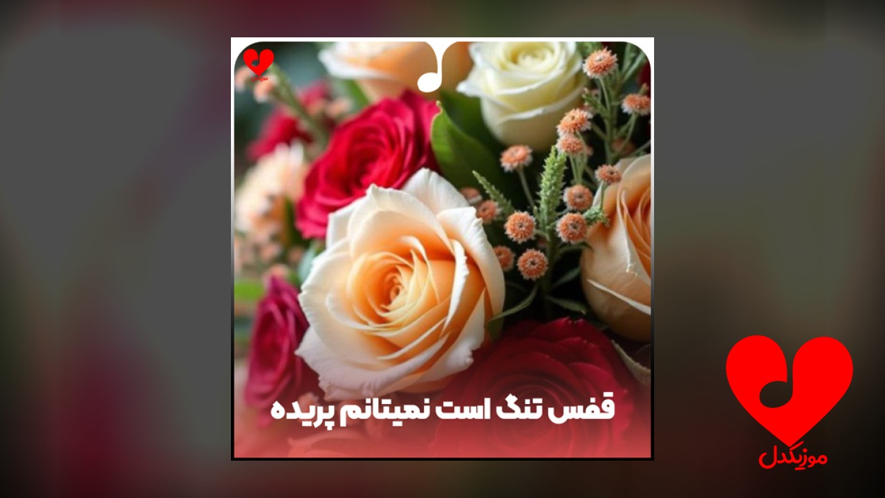 افغانی قفس تنگ است نمیتانم پریده