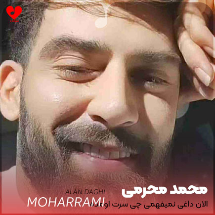 الان داغی نمیفهمی چی