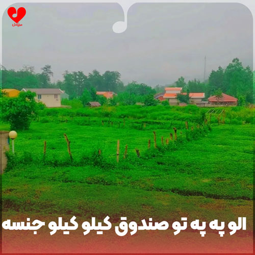 الو په په تو