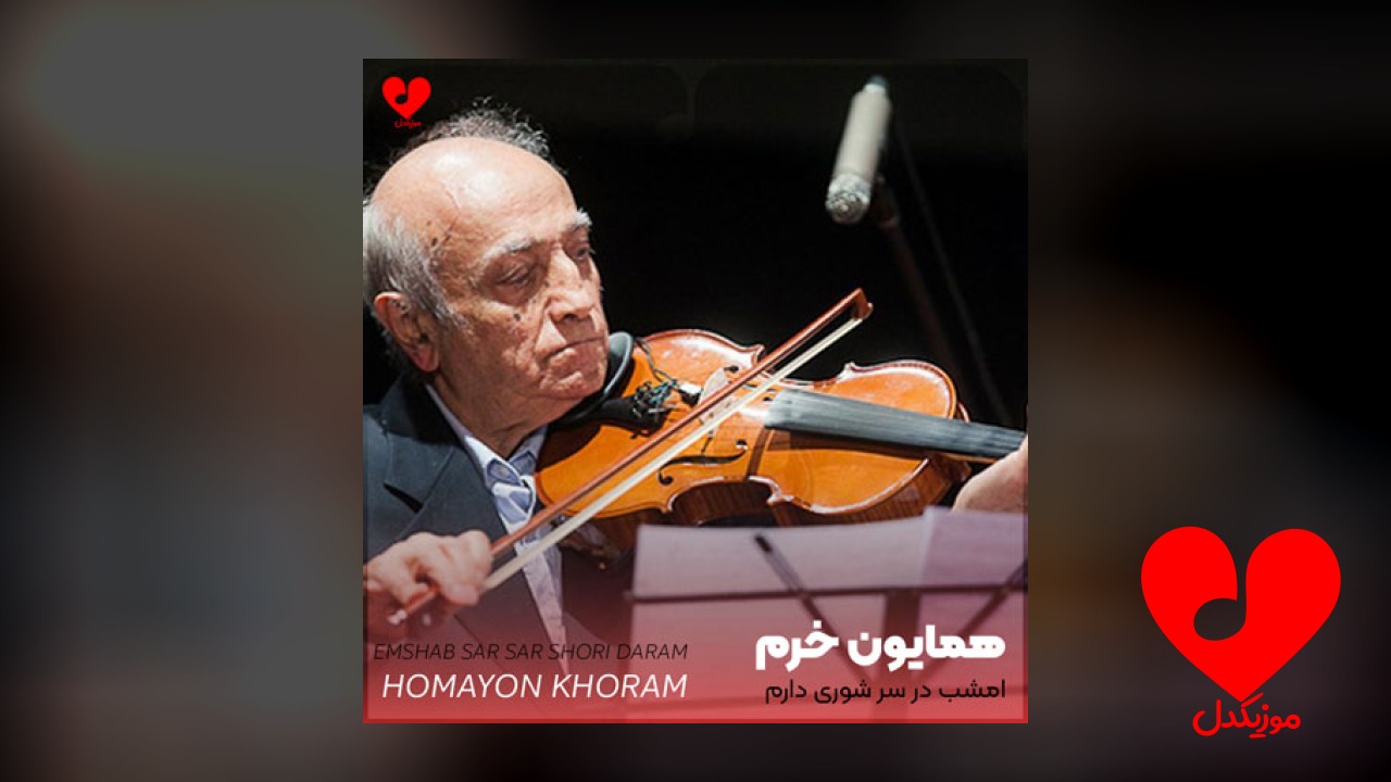 امشب در سر شوری دارم