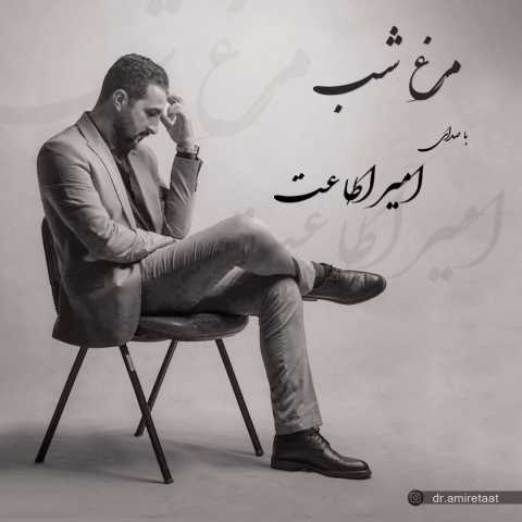 امیر اطاعت مرغ شب