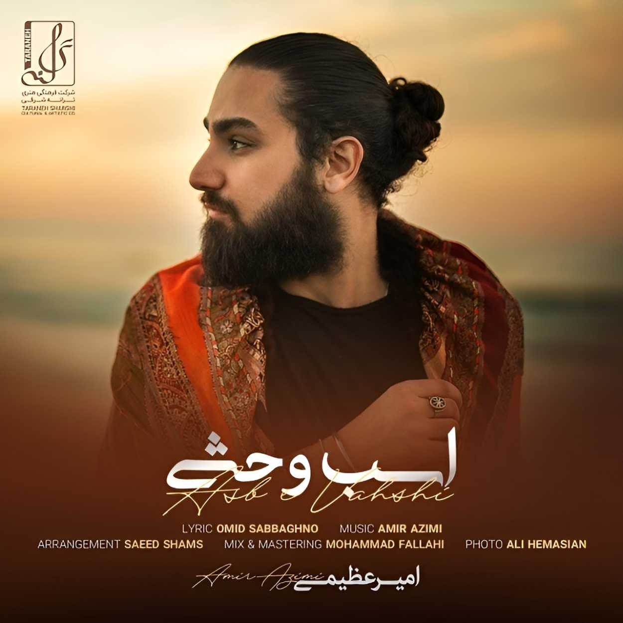 امیر عظیمی اسب وحشی