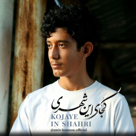 امیر هامون کجای این شهری