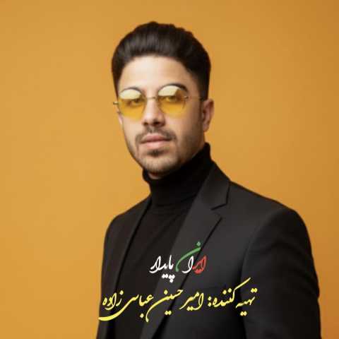 امیرحسین عباسی زاده ایران پایدار