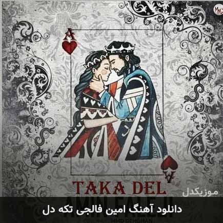 امین فالجی تکه دل