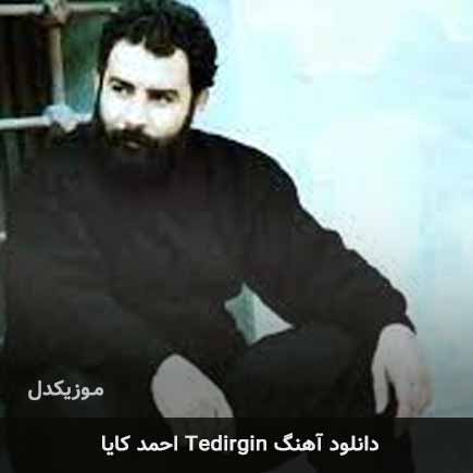 اهنگ tedirgin احمد کایا