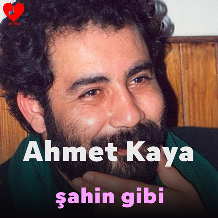 اهنگ şahin gibi احمد کایا