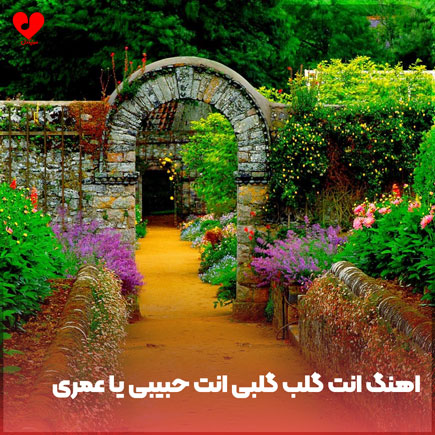 اهنگ انت گلب گلبی
