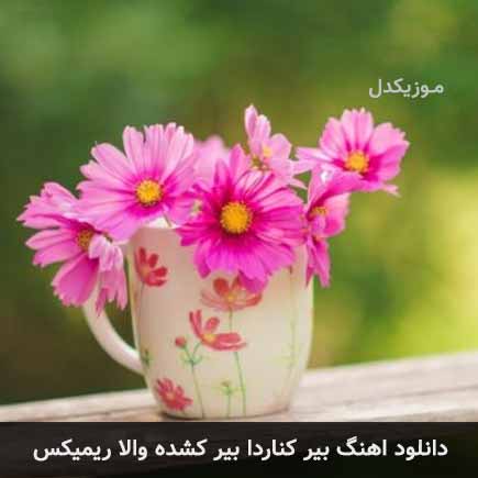 اهنگ بیر کناردا بیر