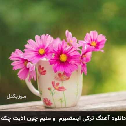 اهنگ ترکی ایستمیرم او