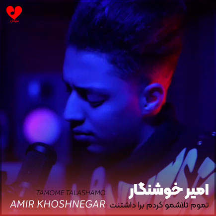 اهنگ تموم تلاشمو کردم
