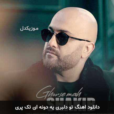 اهنگ تو دلبری یه