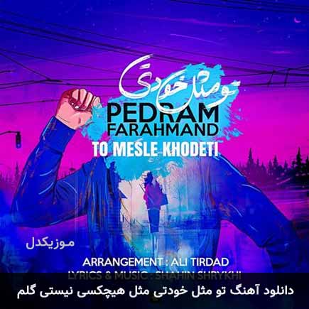 اهنگ تو مثل خودتی