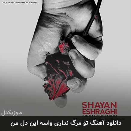 اهنگ تو مرگ نداری