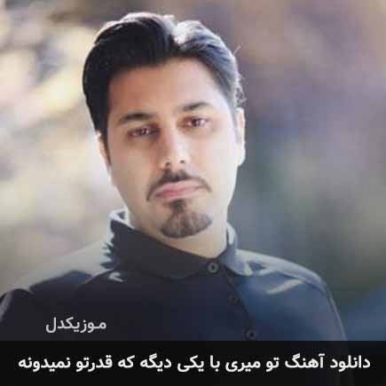 اهنگ تو میری با