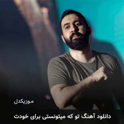 اهنگ تو که میتونستی