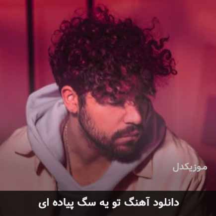 اهنگ تو یه سگ