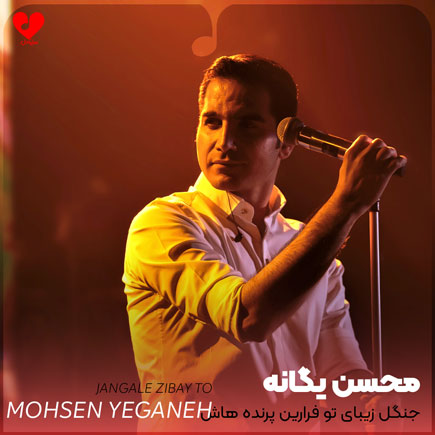 اهنگ جنگل زیبای تو