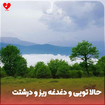 اهنگ حالا تویی و