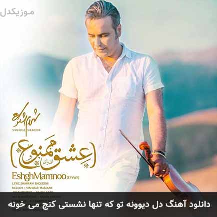 اهنگ دل دیوونه تو