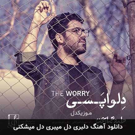 اهنگ دلبری دل میبری
