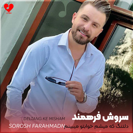 اهنگ دلتنگ که میشم