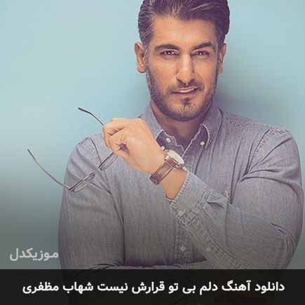 اهنگ دلم بی تو