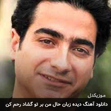 اهنگ دیده زبان حال