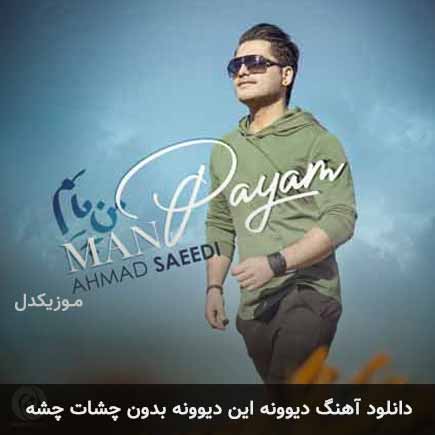 اهنگ دیوونه این دیوونه