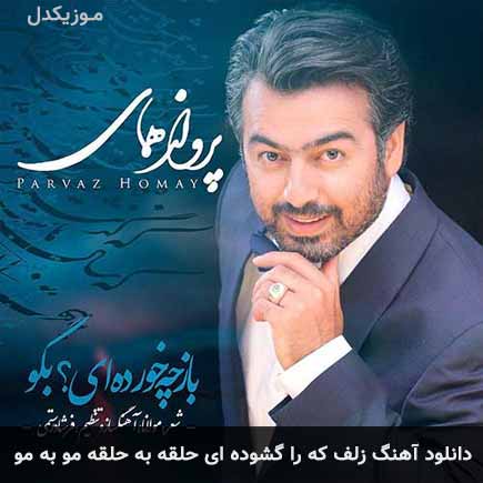 اهنگ زلف که را