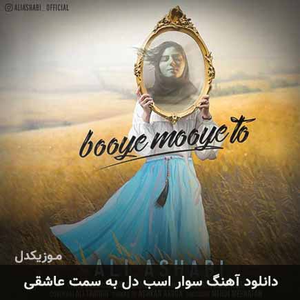 اهنگ سوار اسب دل