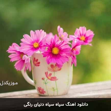 اهنگ سیاه سیاه دنیای رنگی