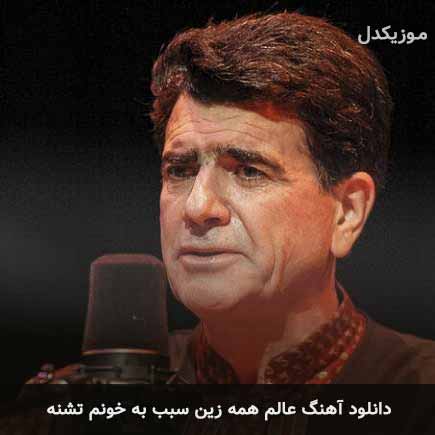 اهنگ عالم همه زین