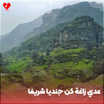 اهنگ عدی زاغه کن جندیا شریفا