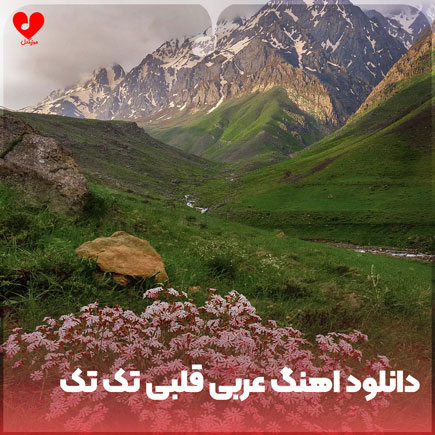 اهنگ عربی قلبی تک تک