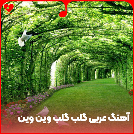 اهنگ عربی گلب گلب وین وین