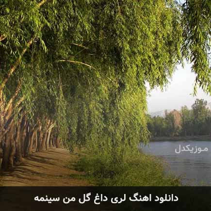اهنگ لری داغ گل