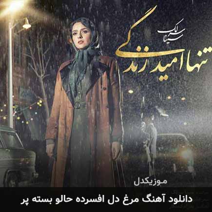 اهنگ مرغ دل افسرده