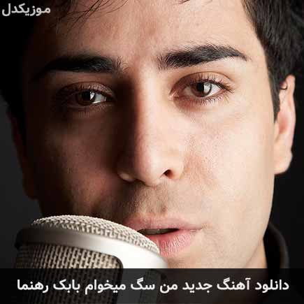 اهنگ من سگ میخوام بابک رهنما