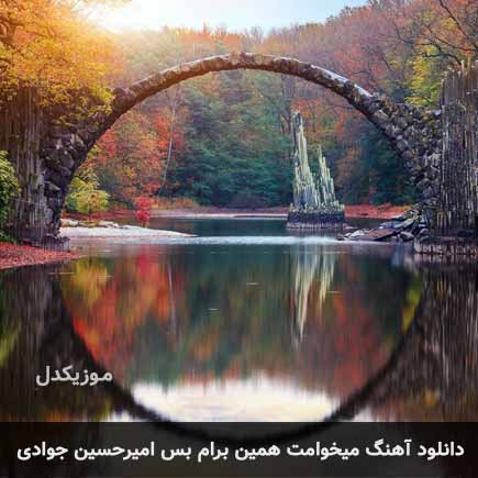 اهنگ میخوامت همین برام