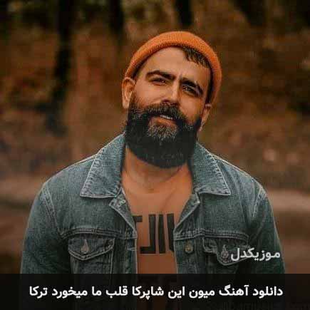 اهنگ میون این شاپرکا