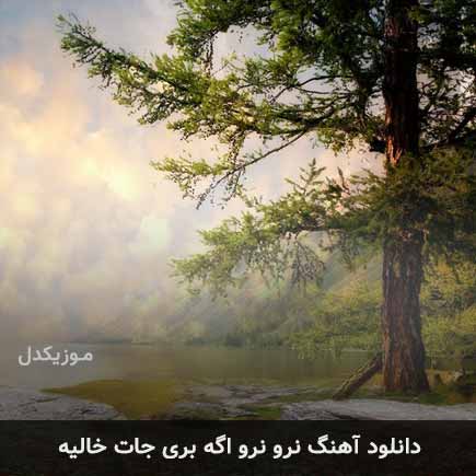 اهنگ نرو نرو اگه
