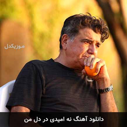 اهنگ نه امیدی در