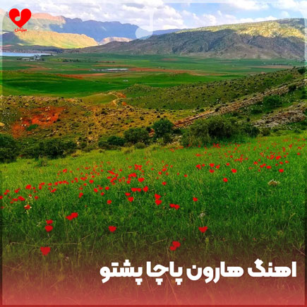 اهنگ هارون پاچا پشتو