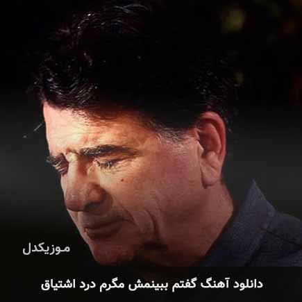 اهنگ گفتم ببینمش مگرم