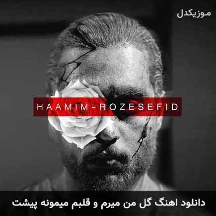 اهنگ گل من میرم