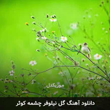 اهنگ گل نیلوفر چشمه کوثر