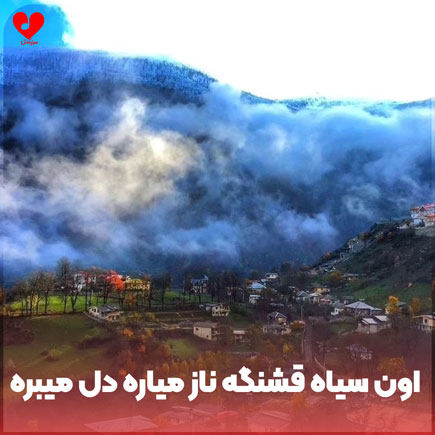اون سیاه قشنگه ناز